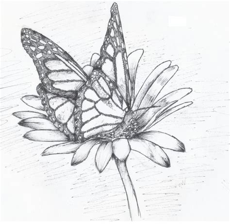 Rees' class blog @ www.mrrees.com. Butterfly And Flower Drawing at GetDrawings | Free download