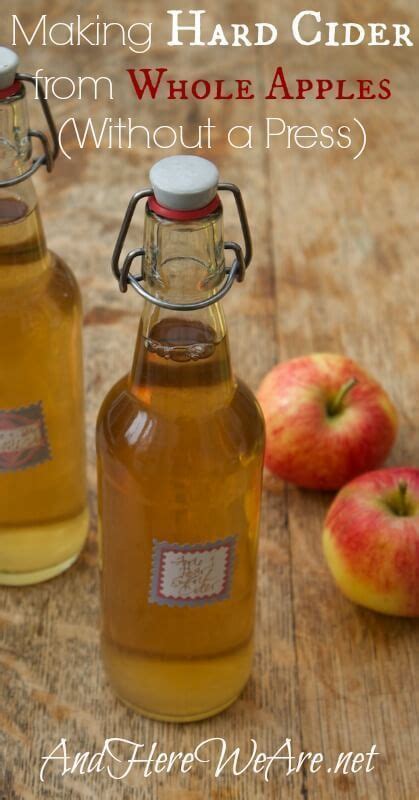 Plus it makes the house smell all comfy and festive. How to Make Hard Cider From Whole Apples | Recipe ...