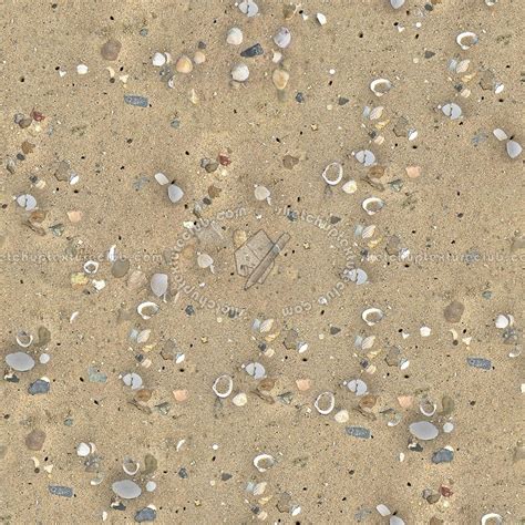 Beach Sand Texture Seamless