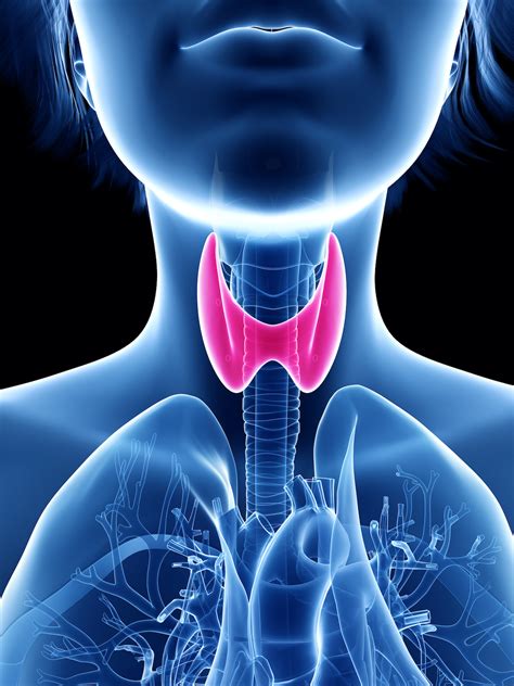 types  thyroid diseases     managed university