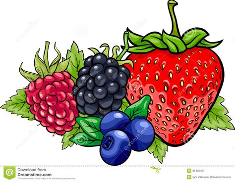 Learn how to draw fruit simply by following the steps outlined in our video lessons. Berry Fruits Cartoon Illustration Stock Vector ...