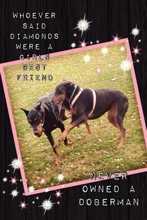 Doberman Doberman Furry Friend Girls Best Friend