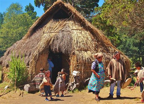 Paginas Con Memoria Mapuches Pueblo Originario