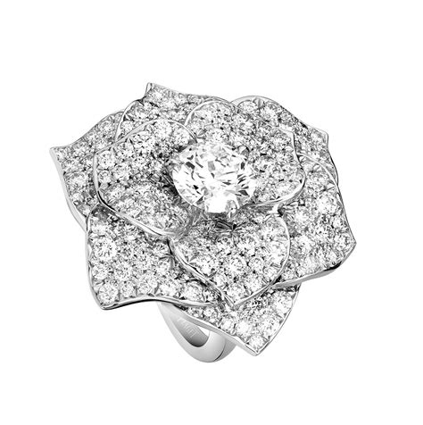 Work the fertilizer into the soil and water the rose bush. La rose Yves Piaget, LA déclaration pour la Saint Valentin