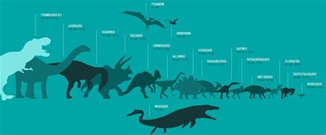 Image Dino Size Chart Jurassic Park Wiki Fandom Powered By Wikia
