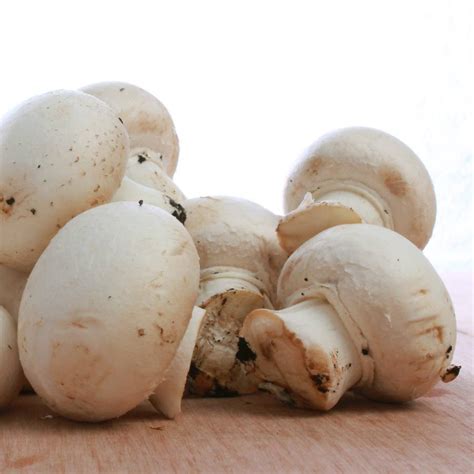 Cómo y cuánto tiempo cocinar champiñones | ComoLoCocino.com