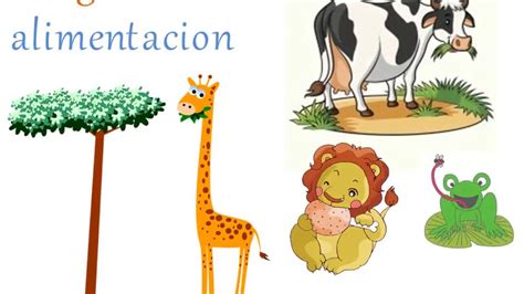 Proceso De NutriciÓn En Animalesgrado 4°