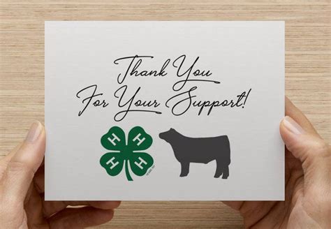 Livestock Thank You Cards Show Steer Show Lamb Show Goat | Etsy | Writing thank you cards, Show 