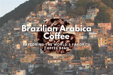 The Rich And Diverse Flavors Of Brazilian Arabica Coffee Exploring The