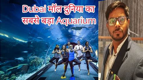 Dubai Mall Aquarium। दुबई मॉल में दुनिया का सबसे बड़ा मछलीघर Dubai Part 01 Youtube