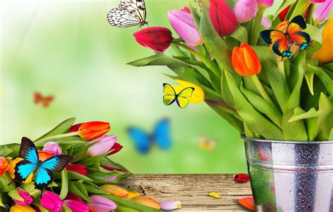 Butterfly Bouquet Wallpapers Wallpaper Cave