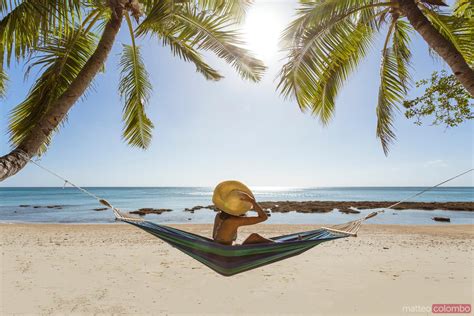 Woman Relaxing On Hammock Under Palm Tree On A Tropical Beach Fiji Royalty Free Image