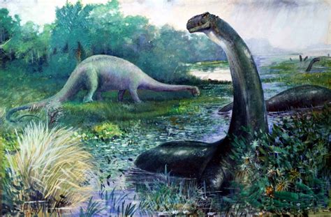 8 Interesting Facts About Brontosaurus Ohfact