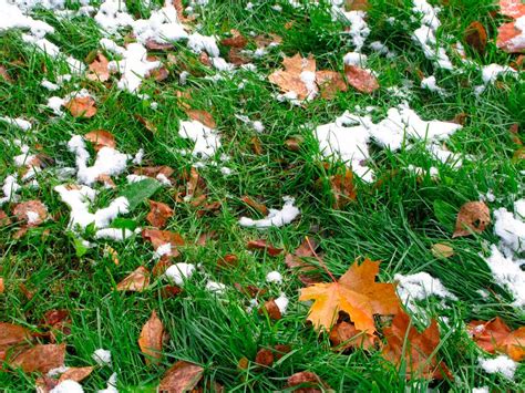 Preparing Your Yard For Winter Better Lawns And Garden