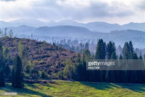 disastro naturale photos and premium high res pictures getty images