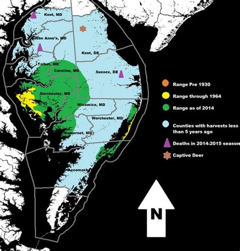 Sika Deer Range Maryland Map Dorchester Sussex Poster