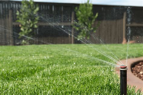 Lawn Watering Tips Schulze Landscaping Rapid City Sd