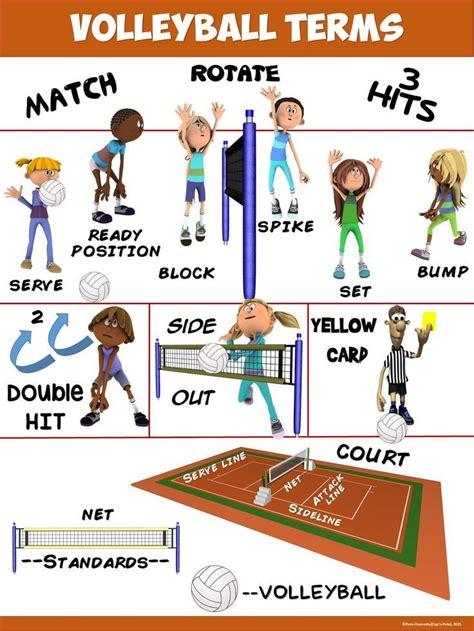 Pe Poster Volleyball Terms Volleyball Terms Physical Education