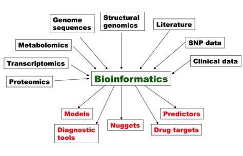 Flowchart Of The Bioinformatic Data Processing Flowchart Describing The Sexiezpix Web Porn