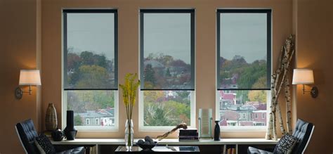 one way window shades - The Finishing Touch