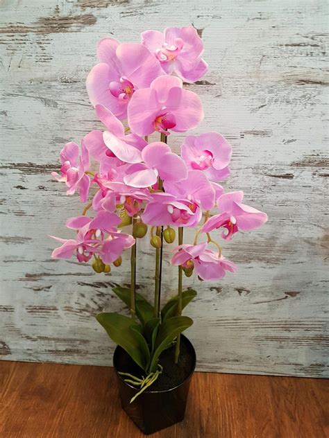 Artificial Pink Phalaenopsis Orchid Westridge Florist Toowoomba