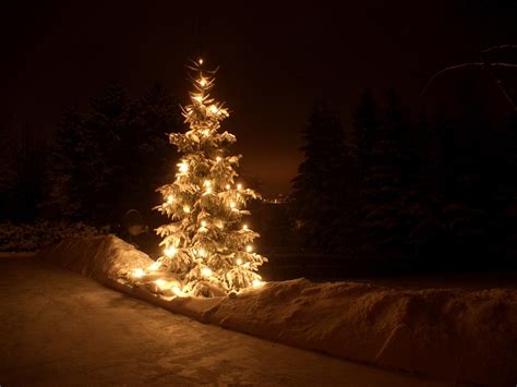 Here is another similar shot i took that night. Christmas Night Pictures, Photos, and Images for Facebook ...