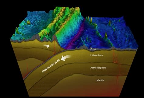 In Photos Rov Explores Deep Ocean Trench Live Science
