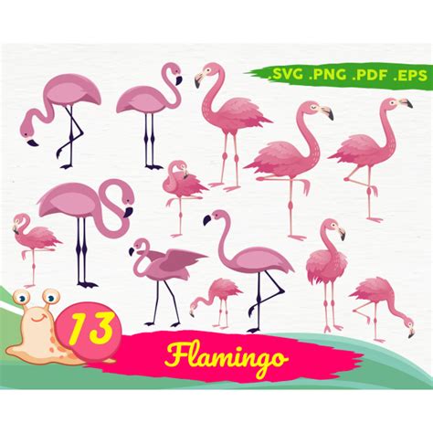 Flamingo Svg Summer Svg Beach Svg Flamingo Pink Flamingo Flamingo