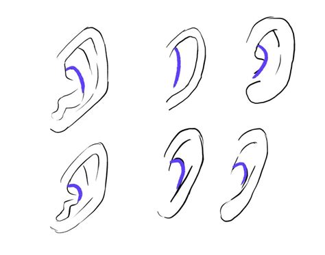Ear Drawing Reference Anime Home Books Reference Books Life Drawing
