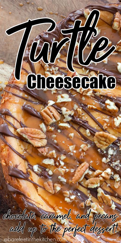 You Re Going To Love This Turtle Cheesecake Barefeet In The Kitchen