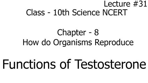 Functions Of Testosterone How Do Organisms Reproduction Science
