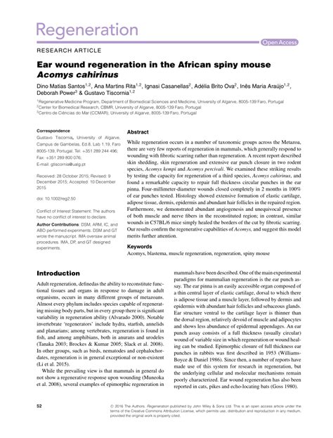 Pdf Ear Wound Regeneration In The African Spiny Mouse Acomys Cahirinus