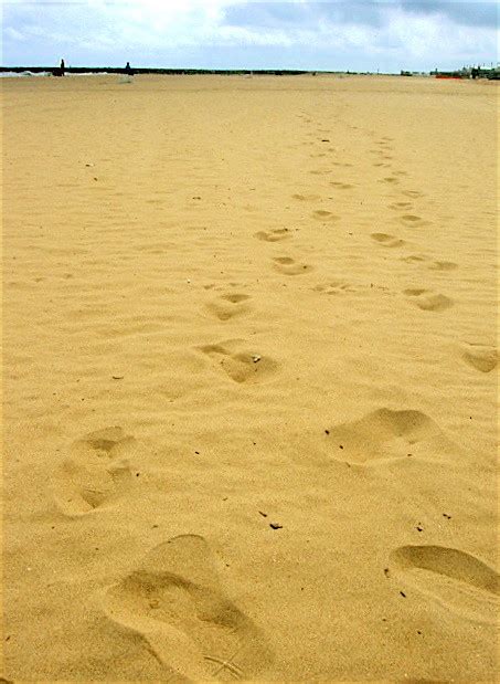 Footprints In The Sand Carol Nauser Flickr