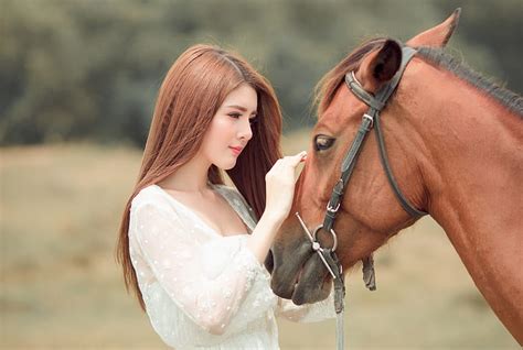 Hd Wallpaper Look Face Girl Nature Background Each Horse