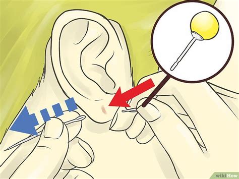 What is the best way to pierce your own ears? Pierce Your Ear | Pierce your own ears, Dog paw pads ...