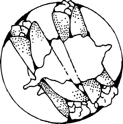 Food coloring pages if you've got arty kids with a vibrant imagination, have a browse through our free coloring pages, download all your favorites, and take your markers and crayons out for a spin. Snack Coloring Pages - Coloring Home