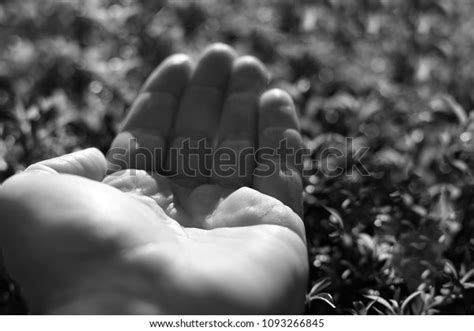 Mans Cupped Hand Open Concept Background Stock Photo 1093266845