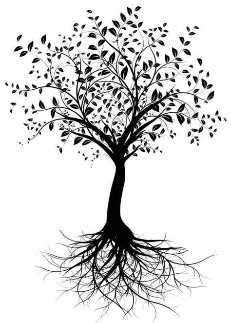 Tattoo Image Lynn Rendez Vous Sante Tree Root Png Download 696973