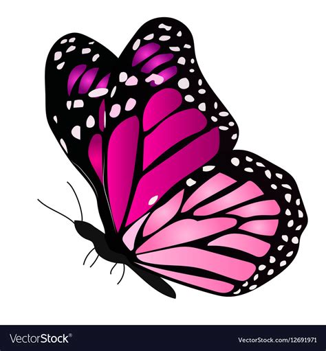 A Colorful Butterfly Royalty Free Vector Image
