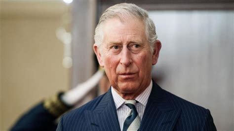 Carlos, príncipe de gales (charles philip arthur george; ¿El Príncipe Carlos de Inglaterra es gay? — FMDOS
