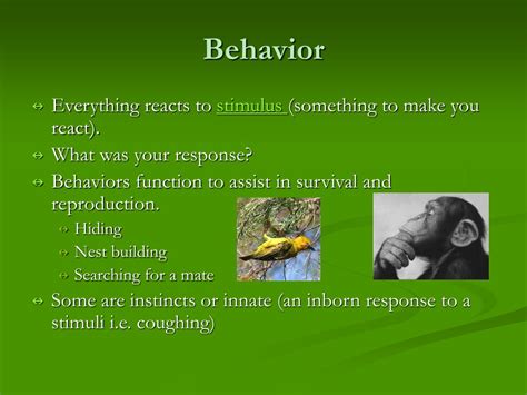 Ppt Animal Behavior Powerpoint Presentation Free Download Id372088