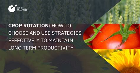 Crop Rotation Benefits Of Using And Application Strategies