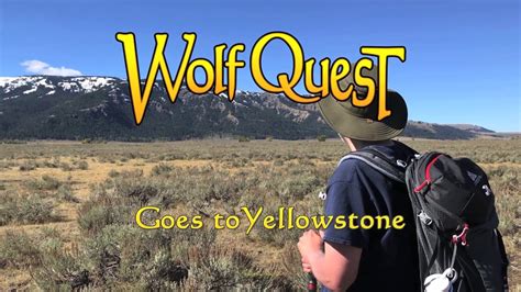 Wolfquest Goes To Yellowstone Amethyst Mountain Youtube