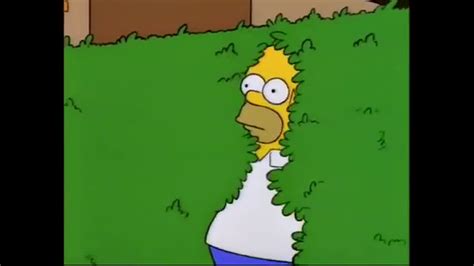 The Simpsons Homer Disappears Into Bushes