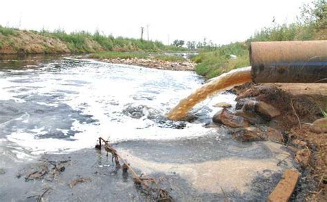 Water Quality In Rivers Poor Pollution Board Launches Plantation