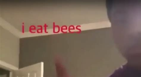 I Eat Bees Know Your Meme