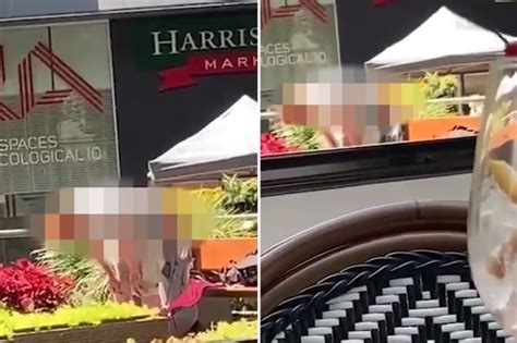 shocking moment couple perform bizarre public sex act in broad daylight in front of horrified