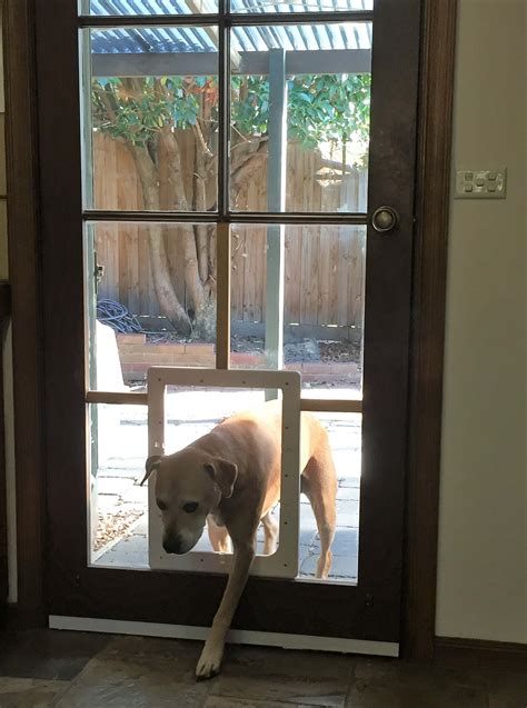 Large Dog Door In Glass Sliding Glass Dog Door Aussie Pet Doors