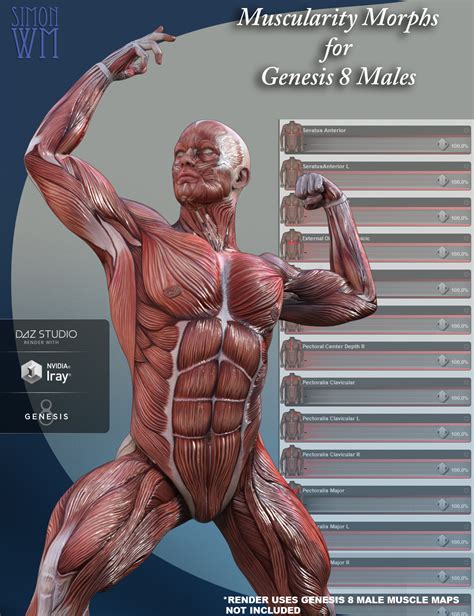 Muscularity Morphs For Genesis 8 Males Daz 3d