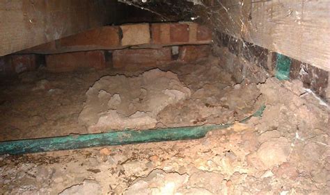 Piping run concealed in finished spaces has to be installed through the joists and protected from physical damage. Gas pipe feed under kitchen, does it need sorting ...